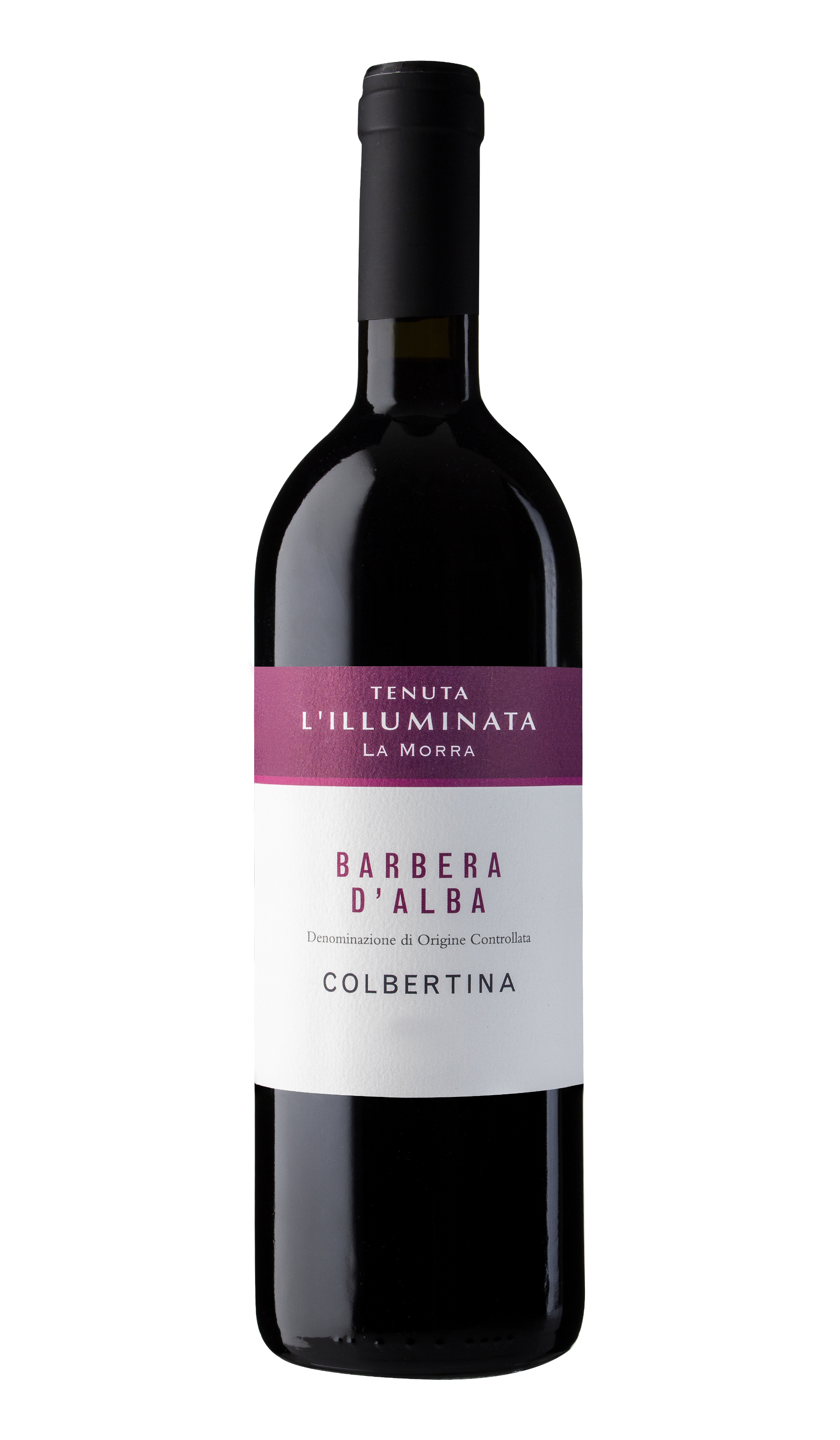 Barbera D'Alba DOC