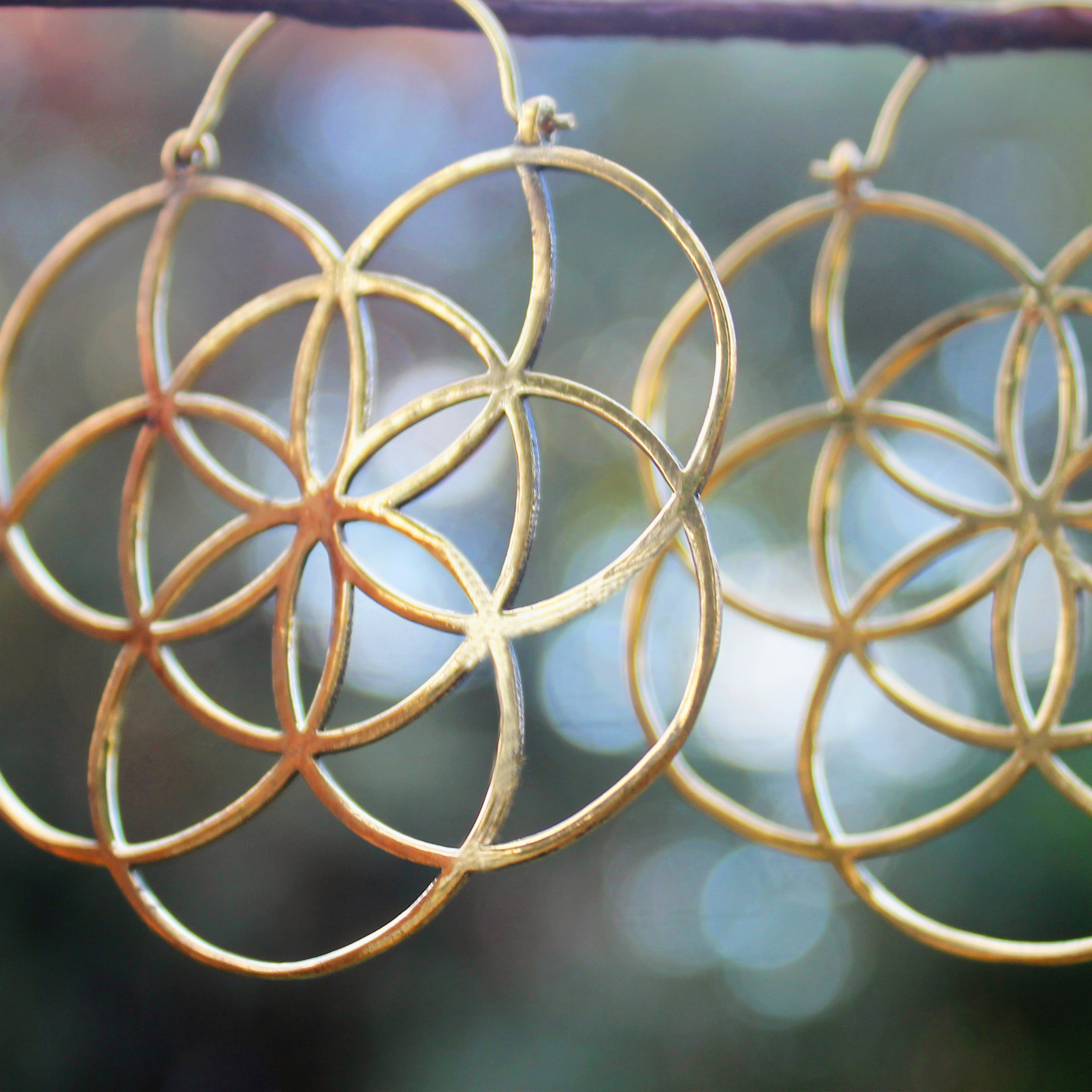 Seed of Life medium hoops