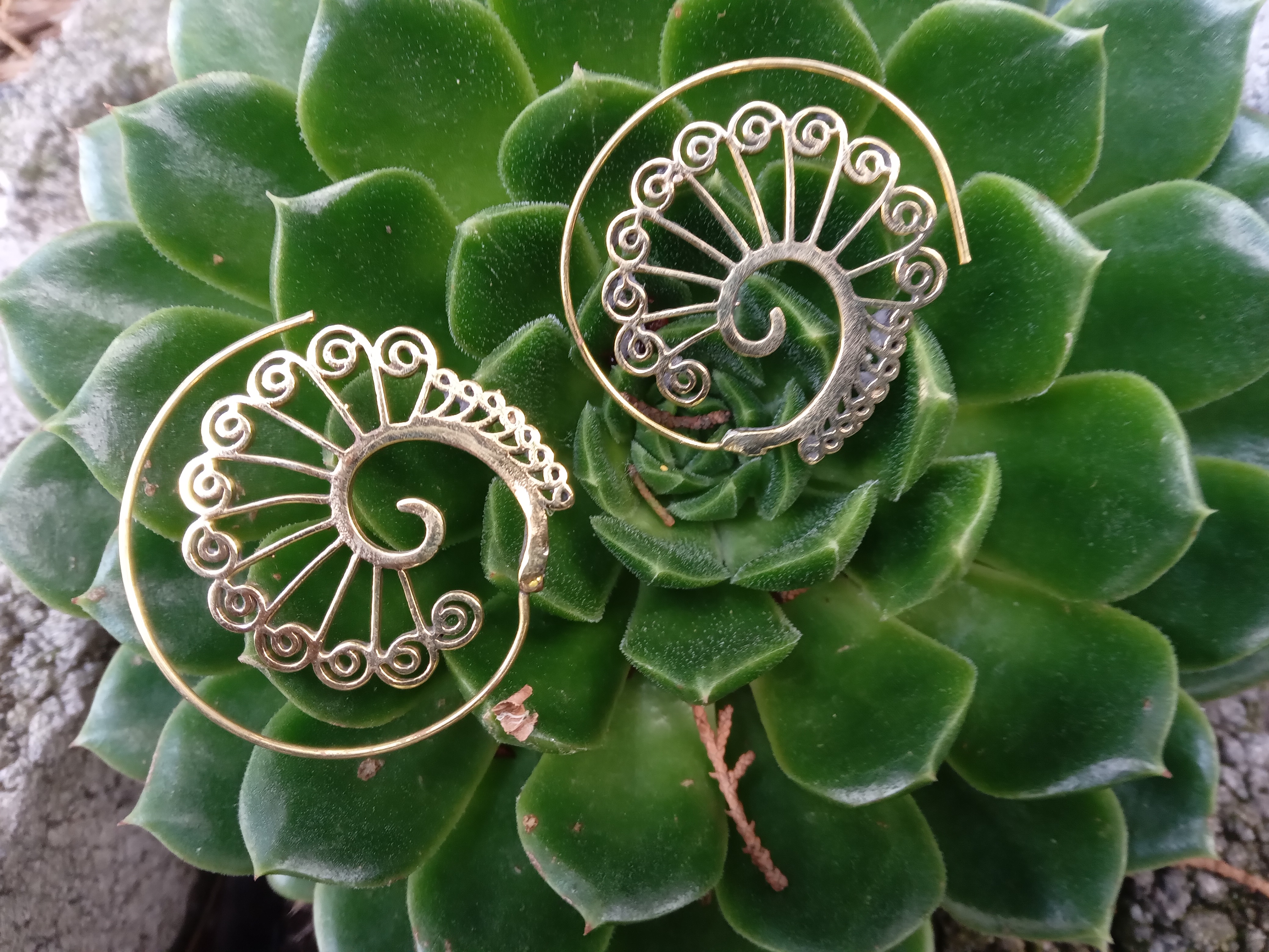 Spiraling hoops