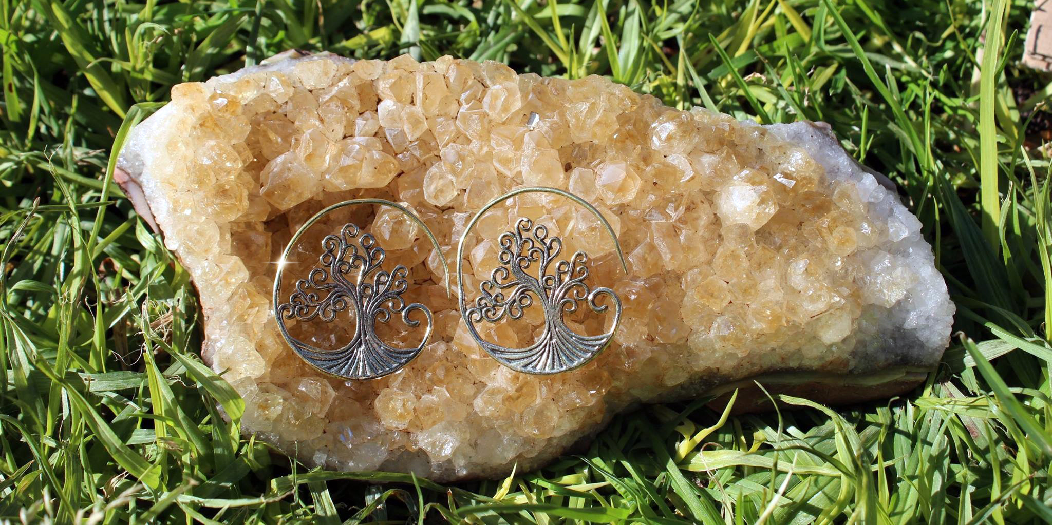 Tree of Life hoops