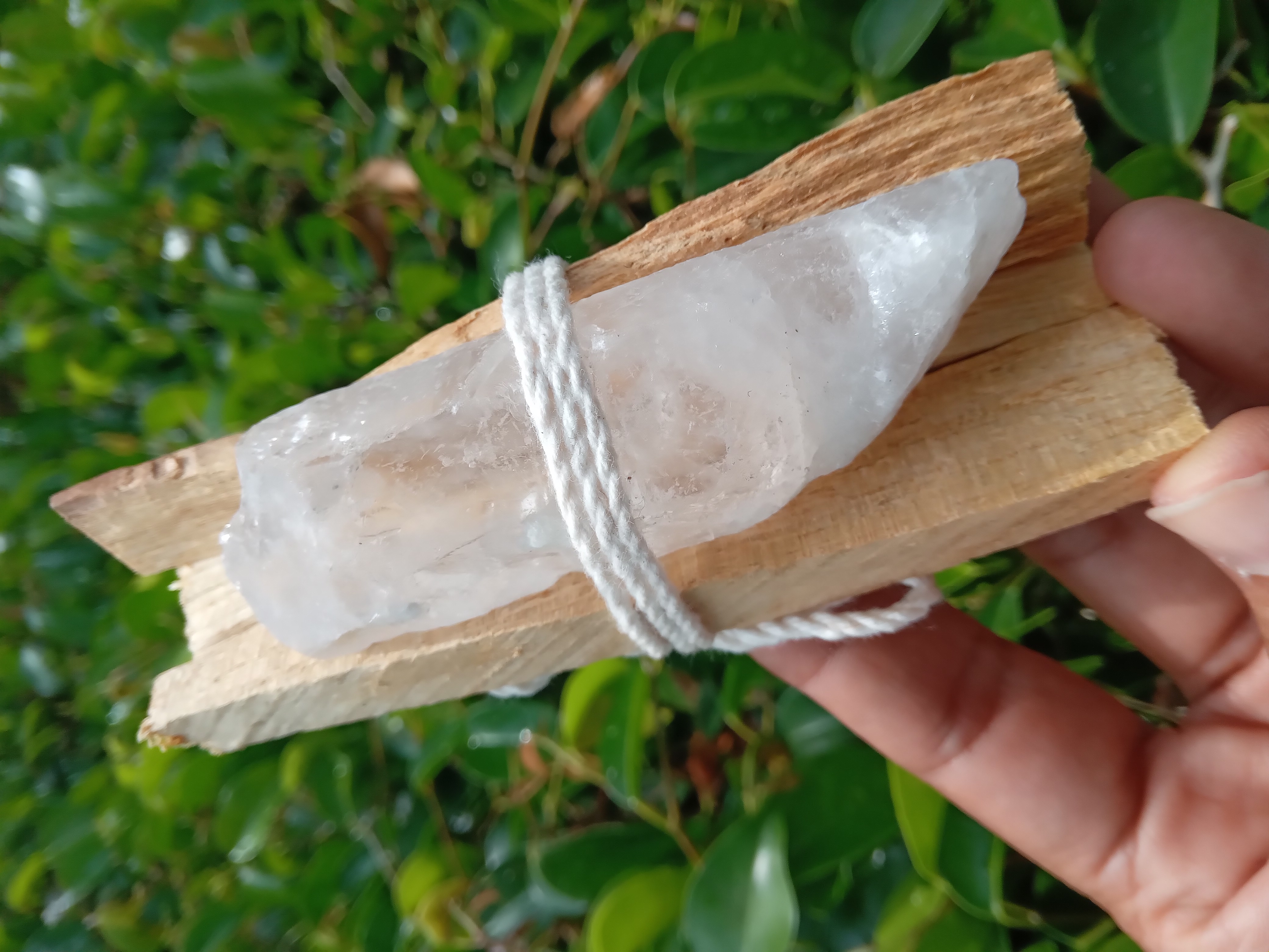 Palo Santo | Sacred Wood (3 sticks & crystal)
