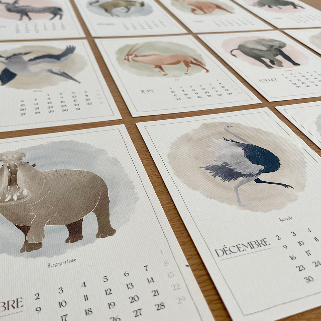 Calendrier 2024 "Namibie illustrée"