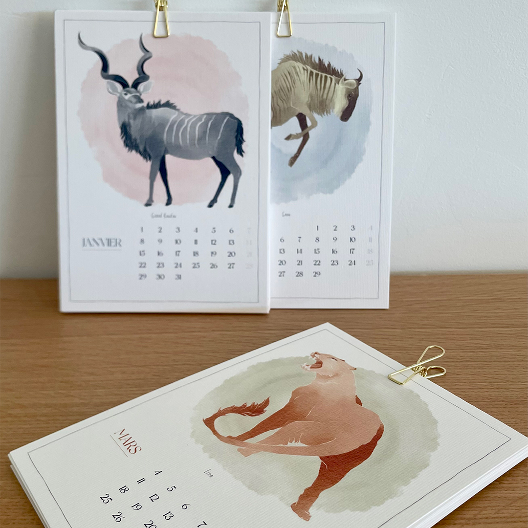 Calendrier 2024 "Namibie illustrée"