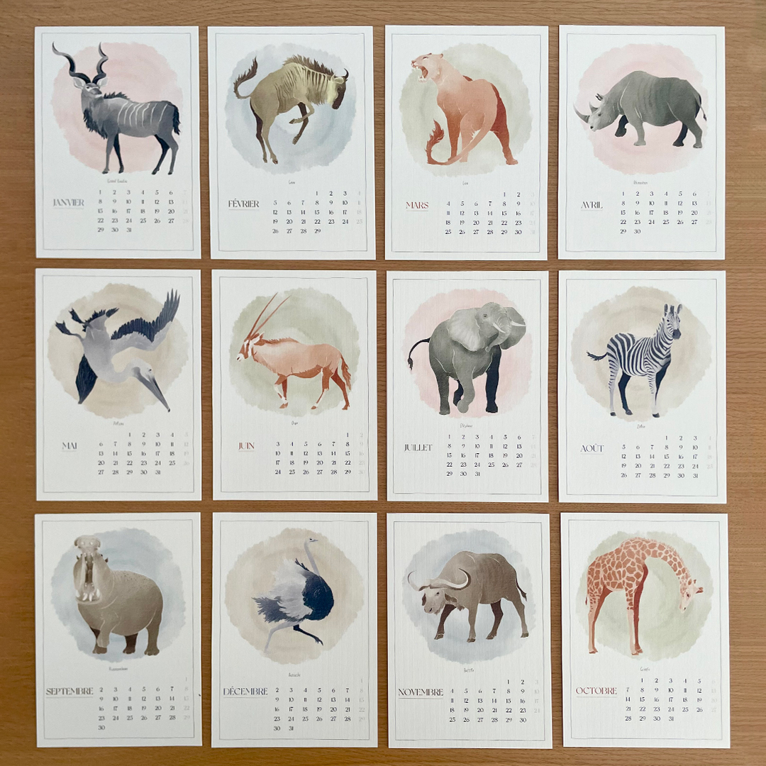 Calendrier 2024 "Namibie illustrée"