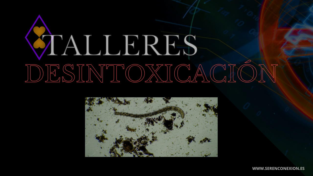 TALLER DETOX 