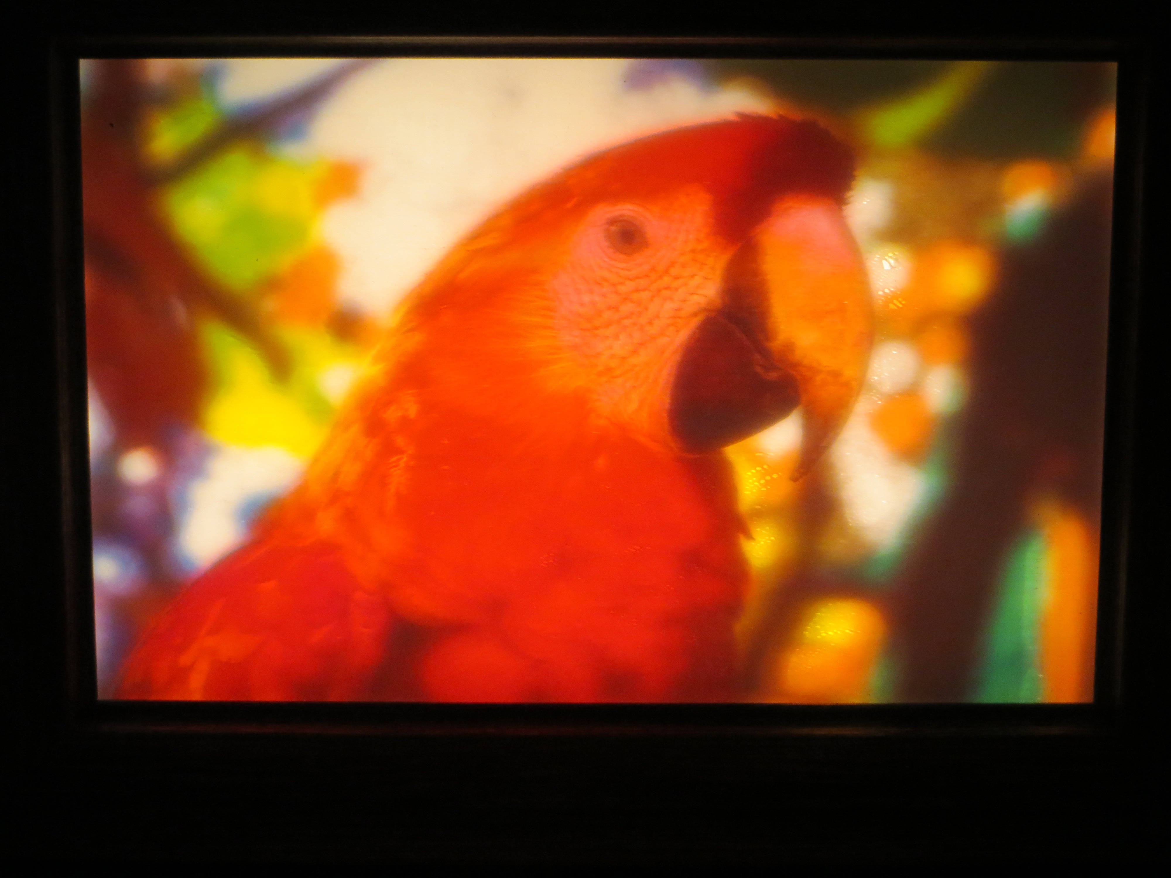 3 - Dim: 15x10cm - Pack Cadre rétroéclairé avec alimentions via prise USB 5V + 1 image lithophanie couleur de votre choix.