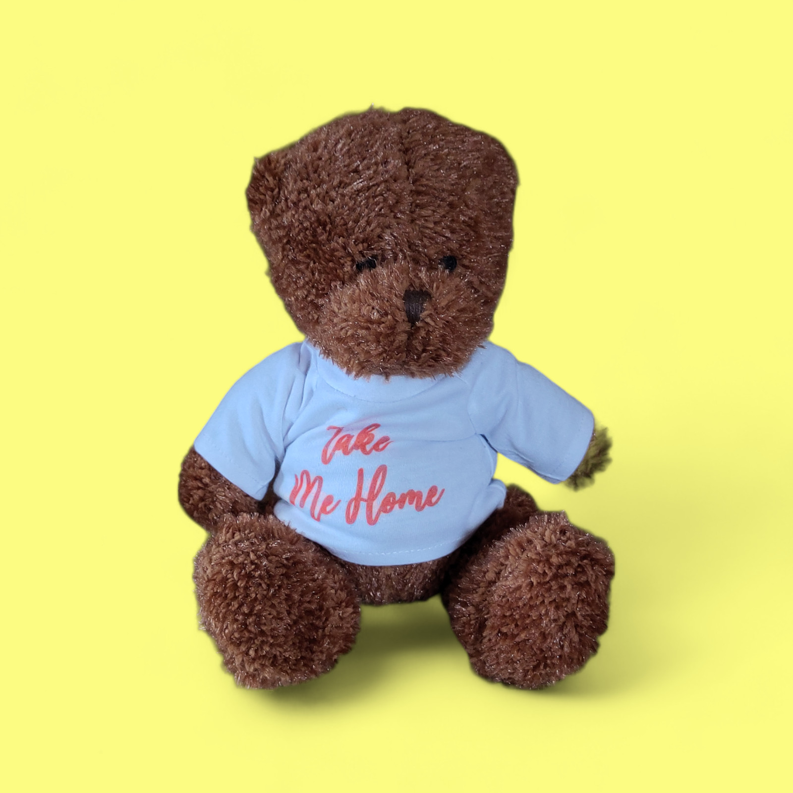 Teddy bear (dark brown) with printed t-shirt