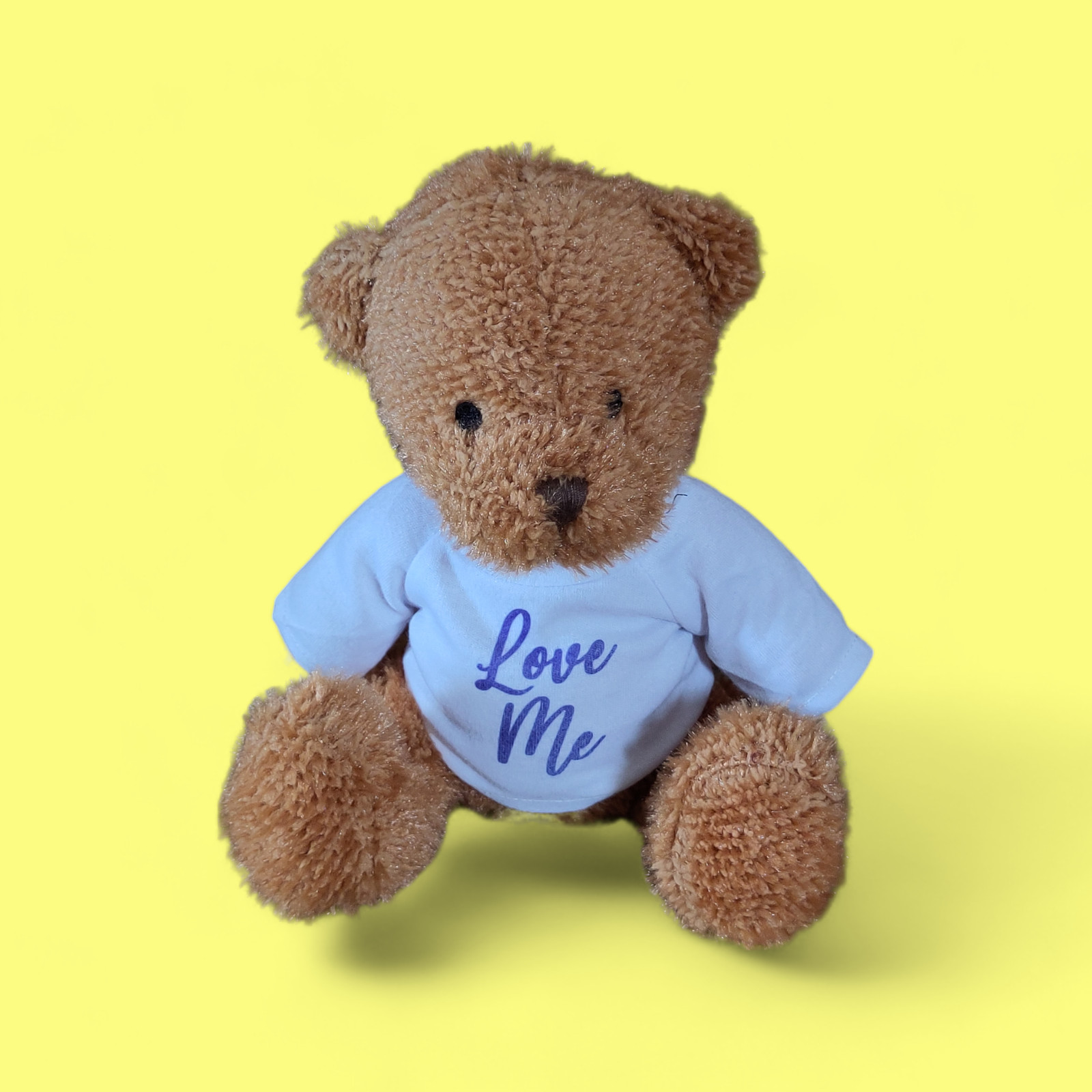 Teddy bear (golden) with printed t-shirt