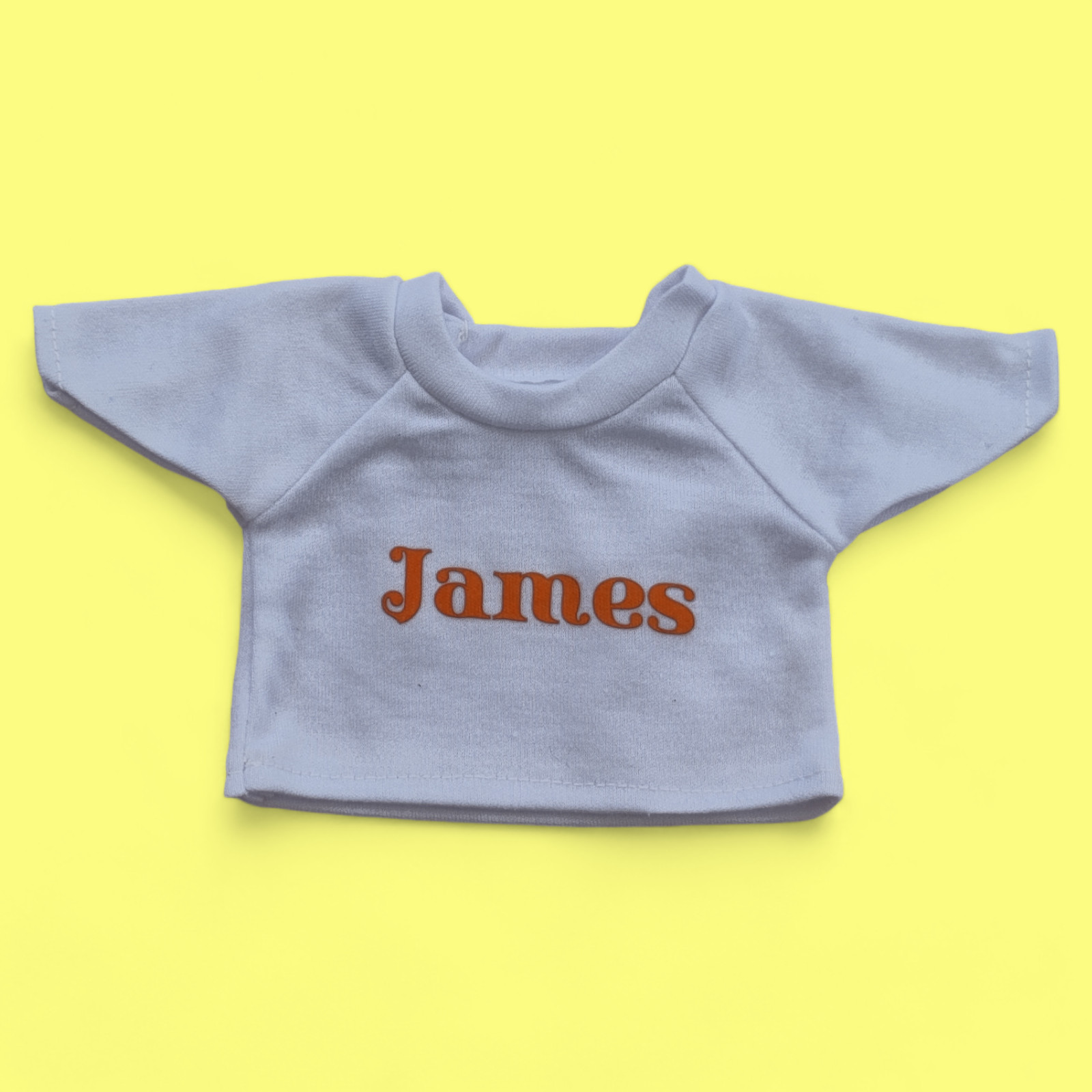 Teddy bear (white) with printed t-shirt