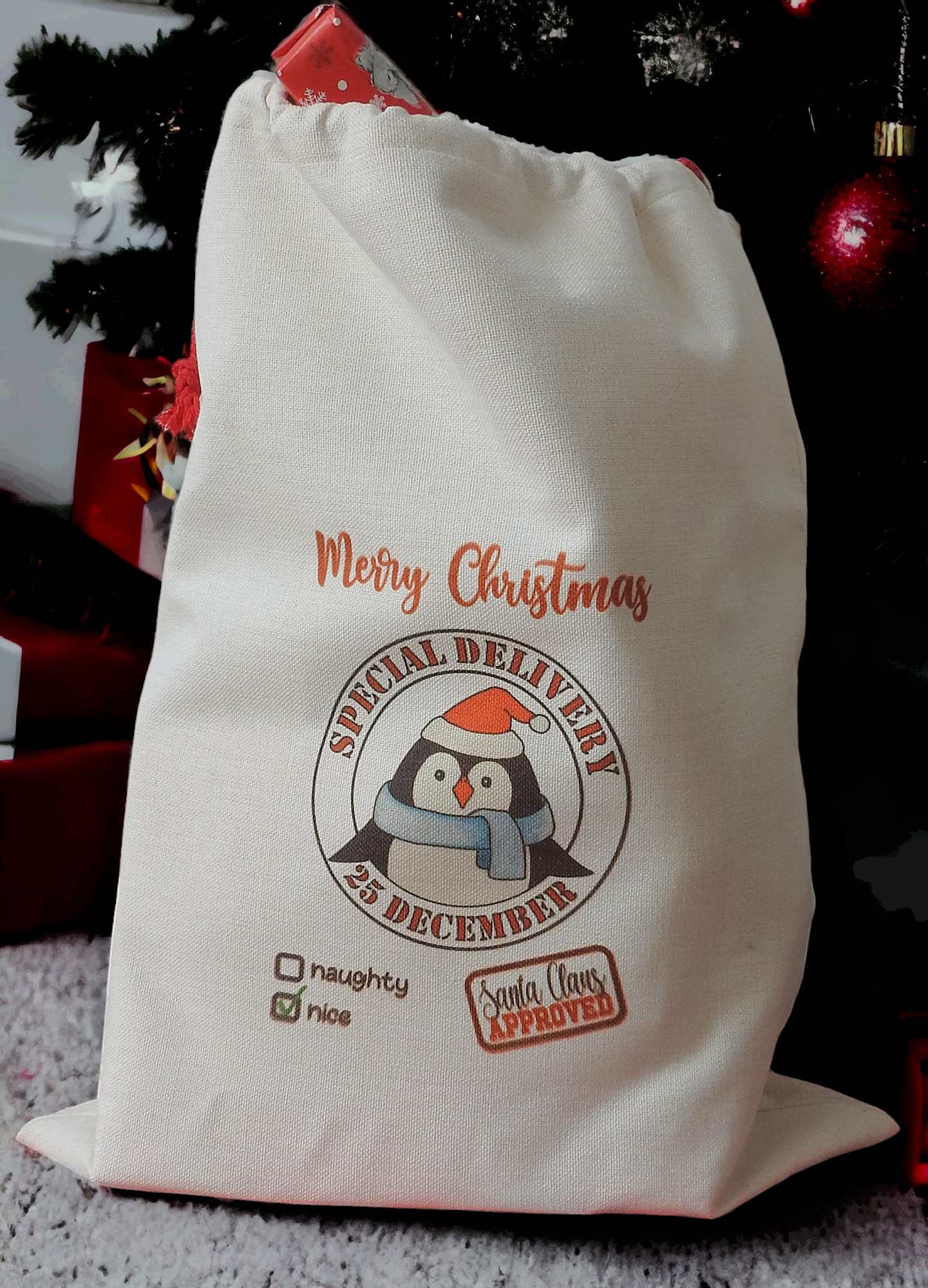Santa Sack