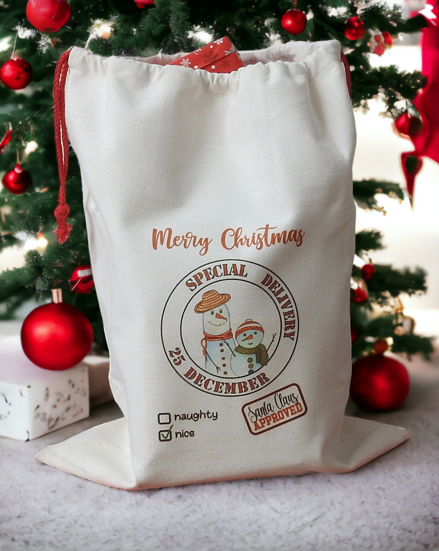 Santa Sack