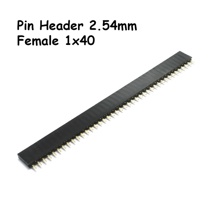 6 Regletas Espadines Peineta Header Hembra 40P Pines  2.54mm