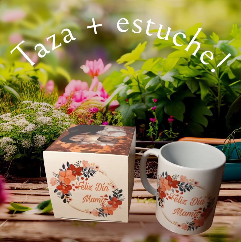 Taza de ceramica con estuche