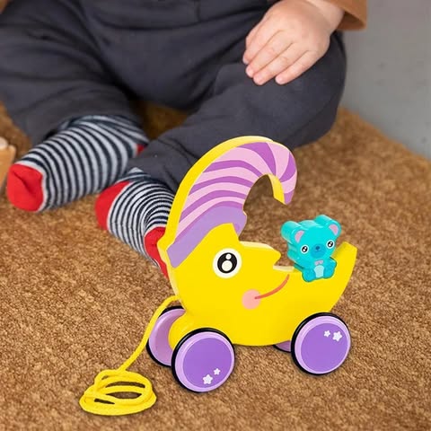 Pull Along Walking Toys Birthday Gift Push and Pull Toy for 1 2 3 4 Years Old Moon
