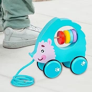 Pull Along Walking Toys Birthday Gift 