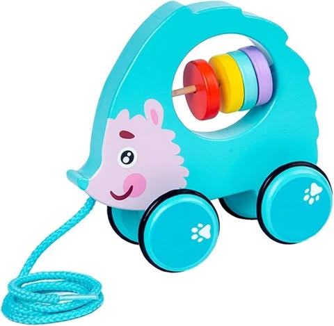 Pull Along Walking Toys Birthday Gift