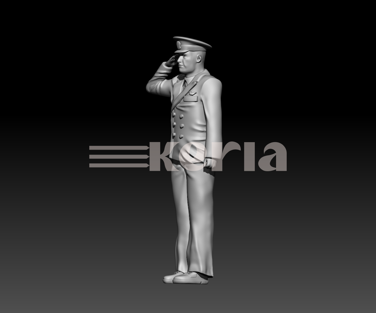 US Navy Officier saluant