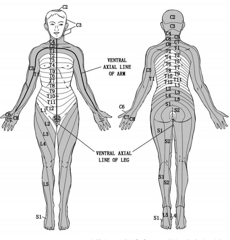 Acupressure Chinese massage therapy