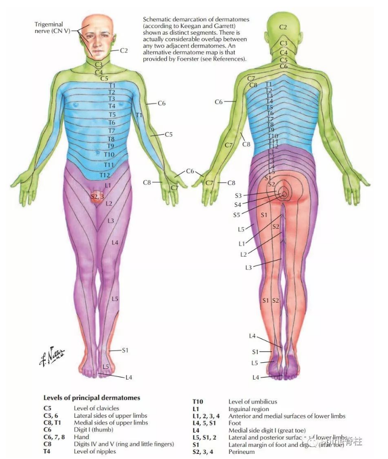 Acupressure Chinese massage therapy