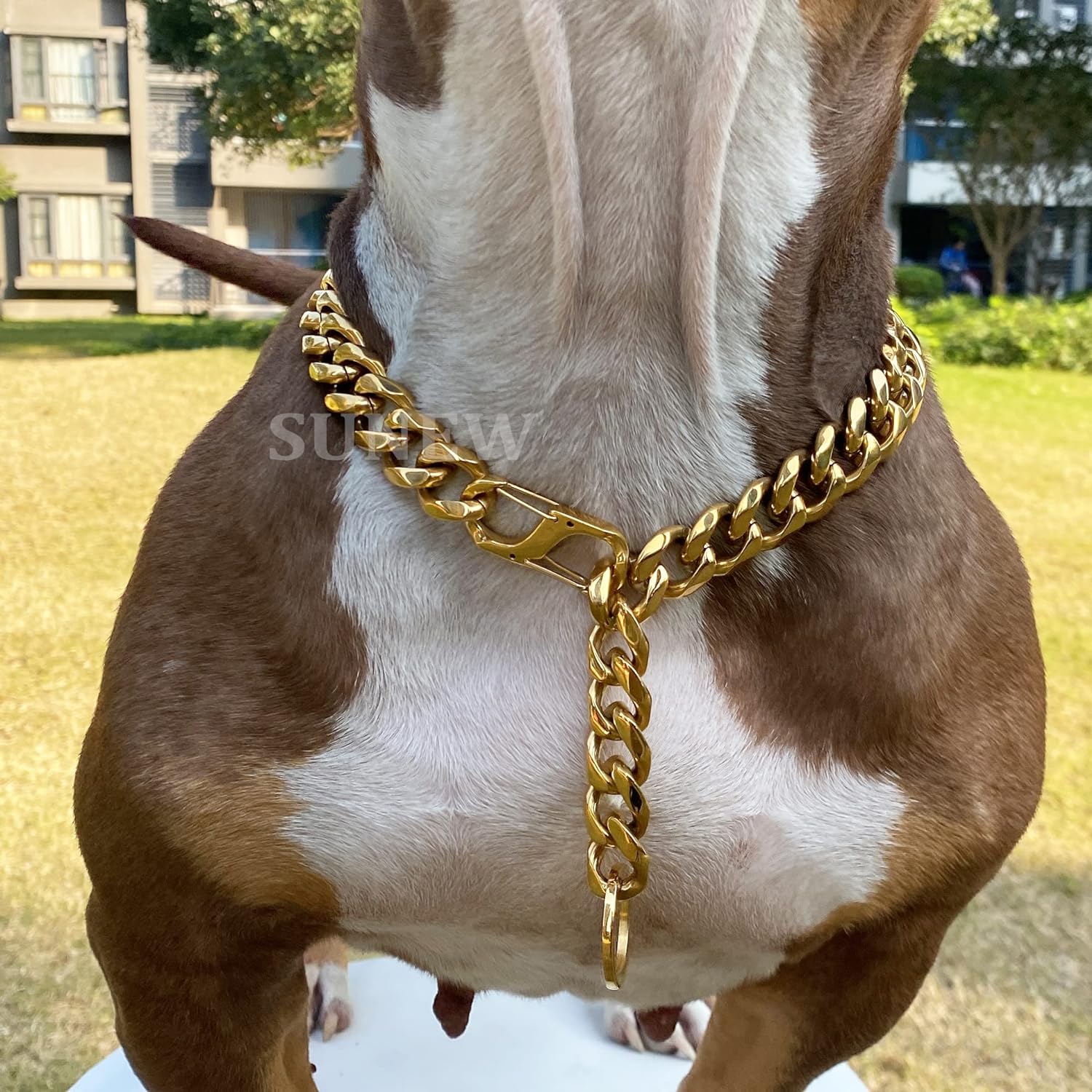 Adjustable Stainless Steel 19MM Gold Plated Dog Titan Collar Necklace Training Walking Metal Dog Duty Chew Proof for Small Medium Large Dogs American Pitbull German Shepherd