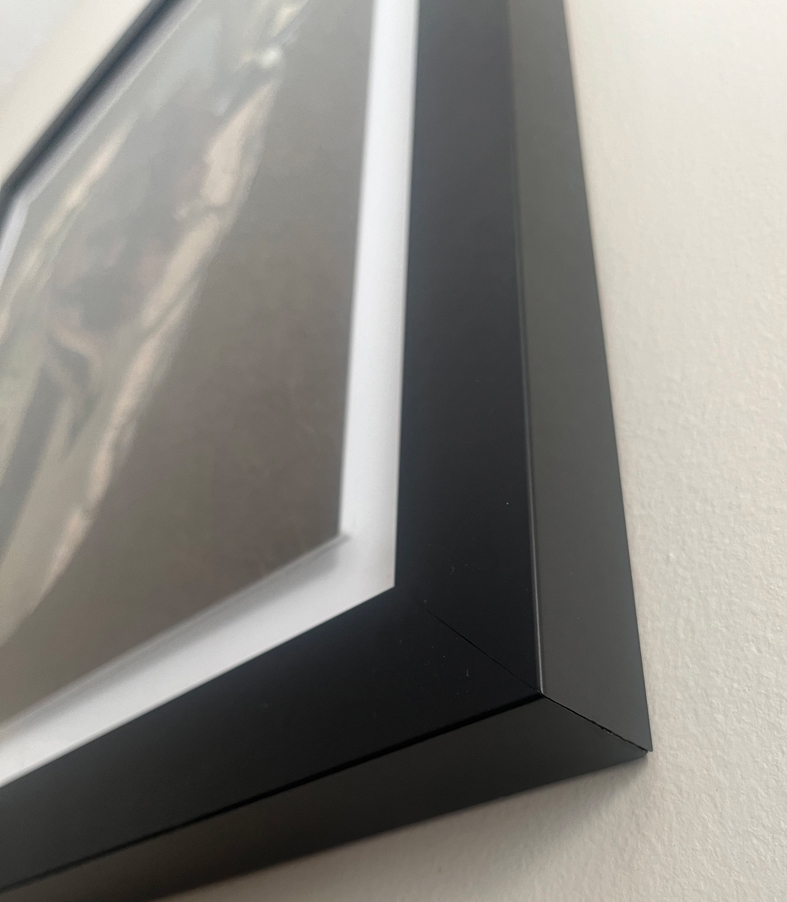 El ciego y su ojo de aguila