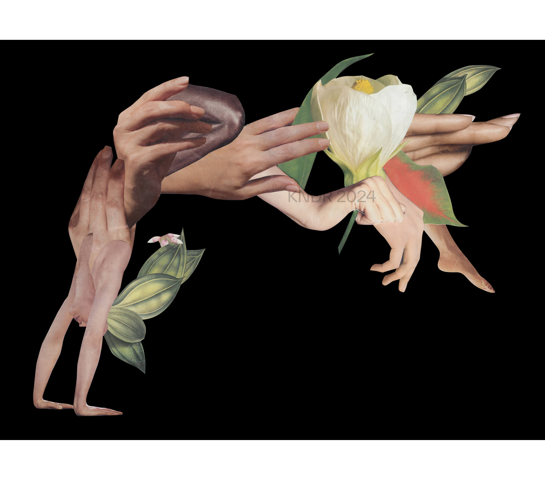 Infinite Possibilities