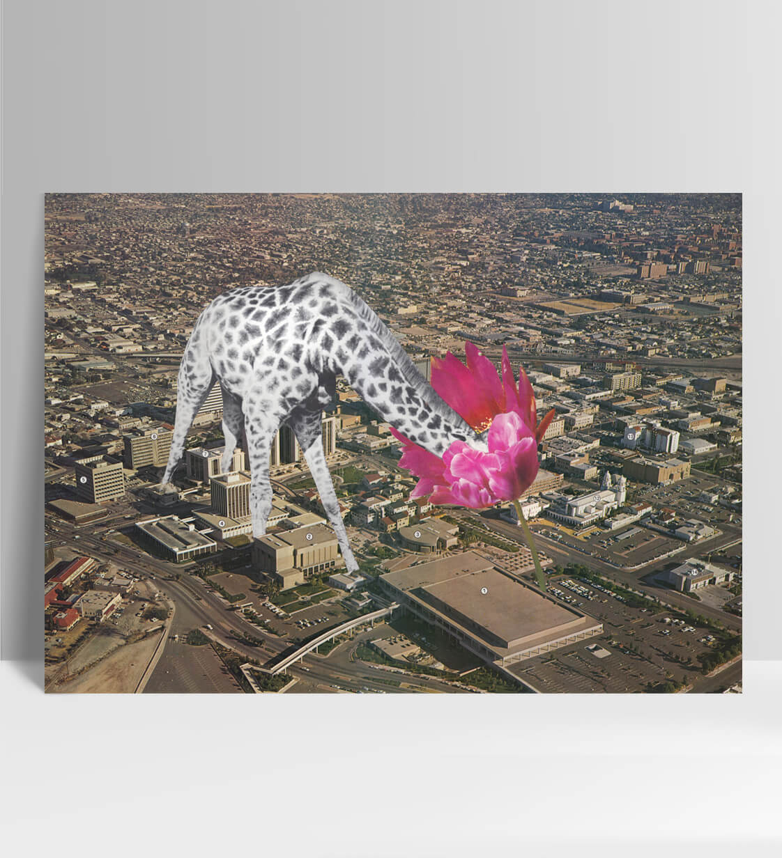 Beauty in the Mundane