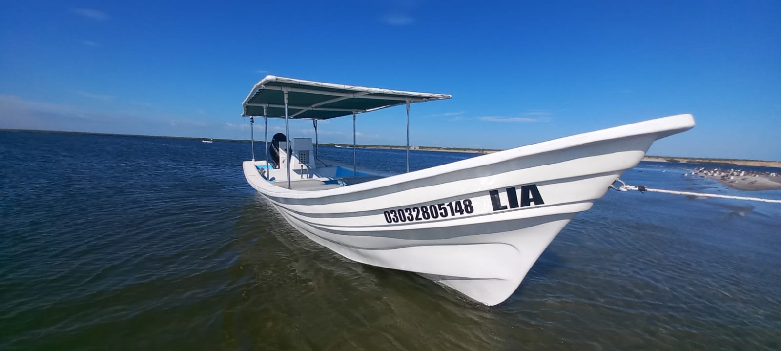 Sport Fishing (in the mouth of the bay - Magdalena and Margarita Island) (6 hrs)