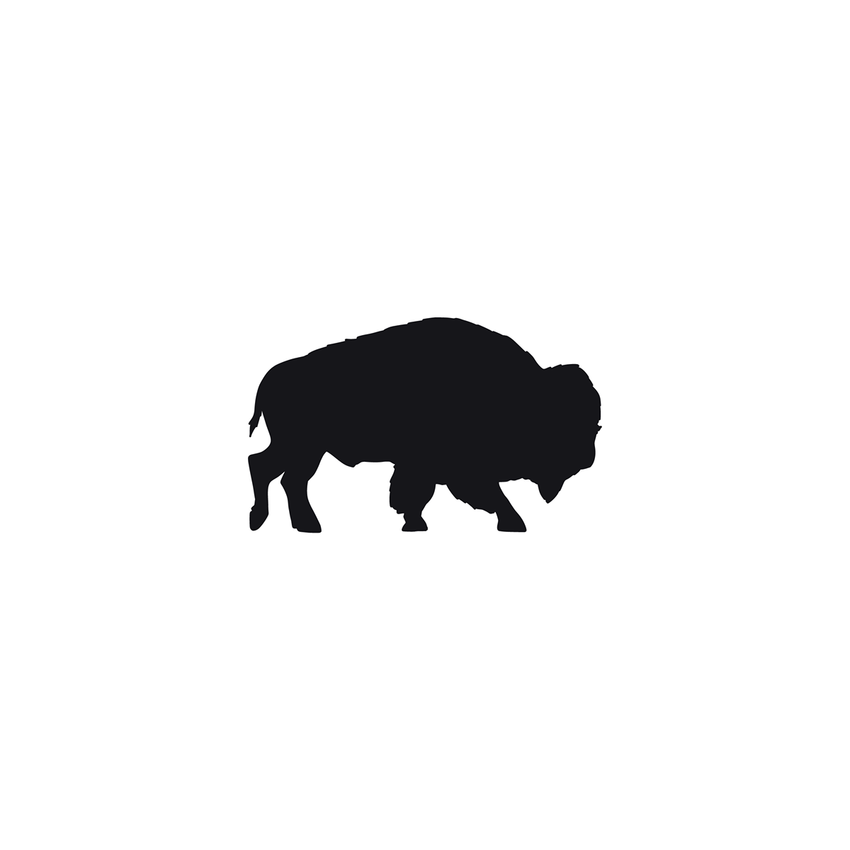 Bison T-Shirt 