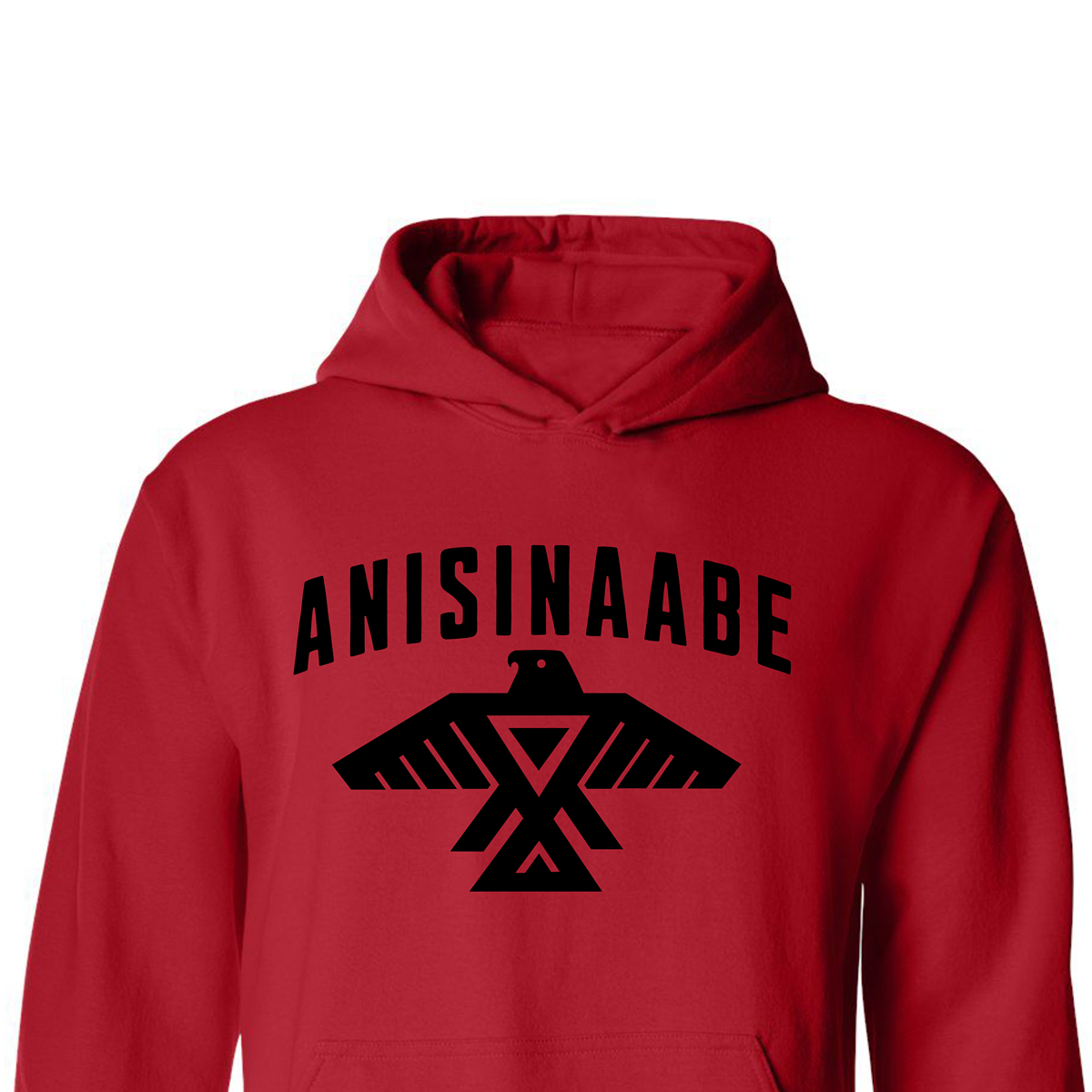 Anishinaabe Hoodie