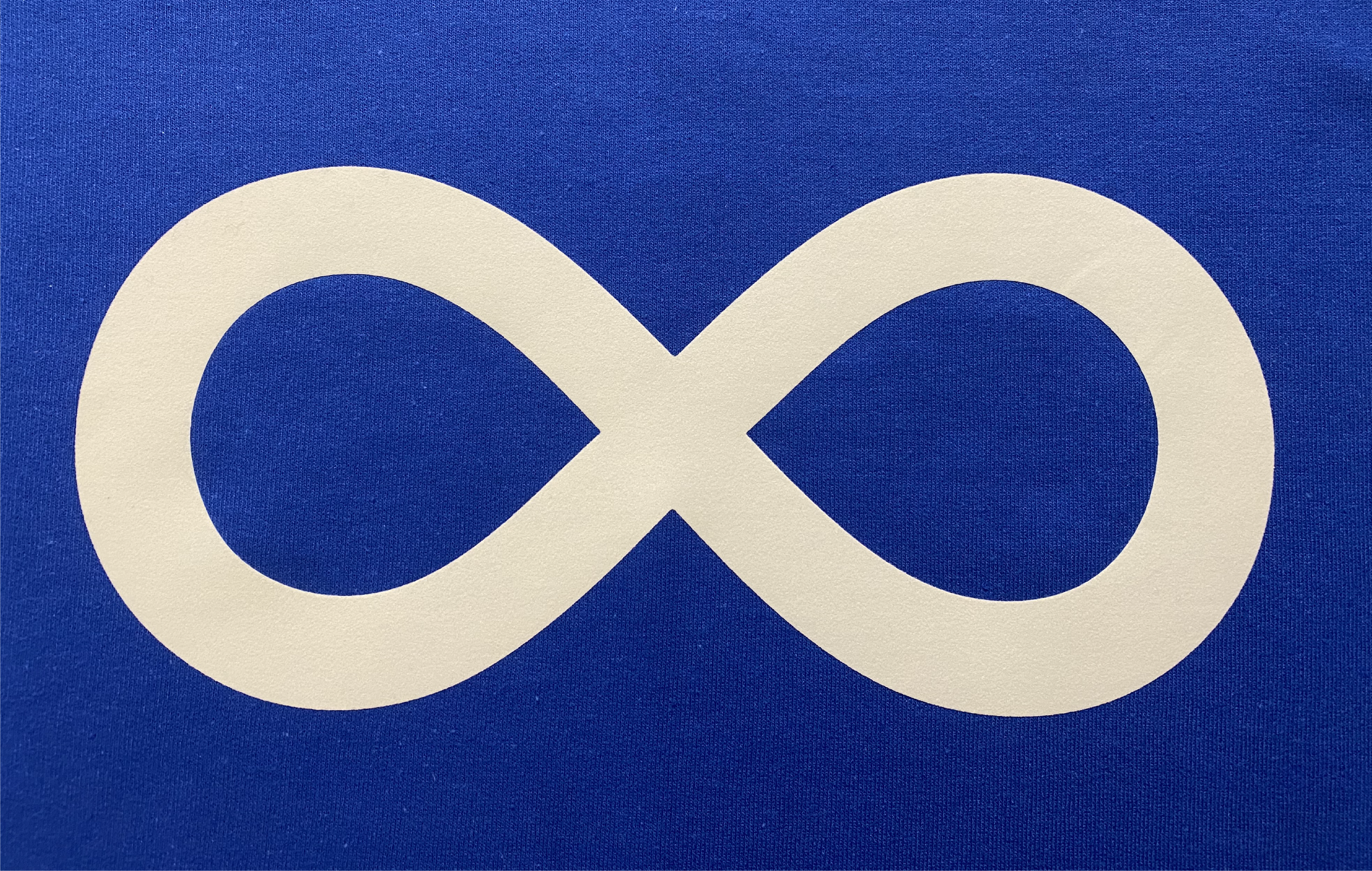 Metis Flag Flock Hoodie