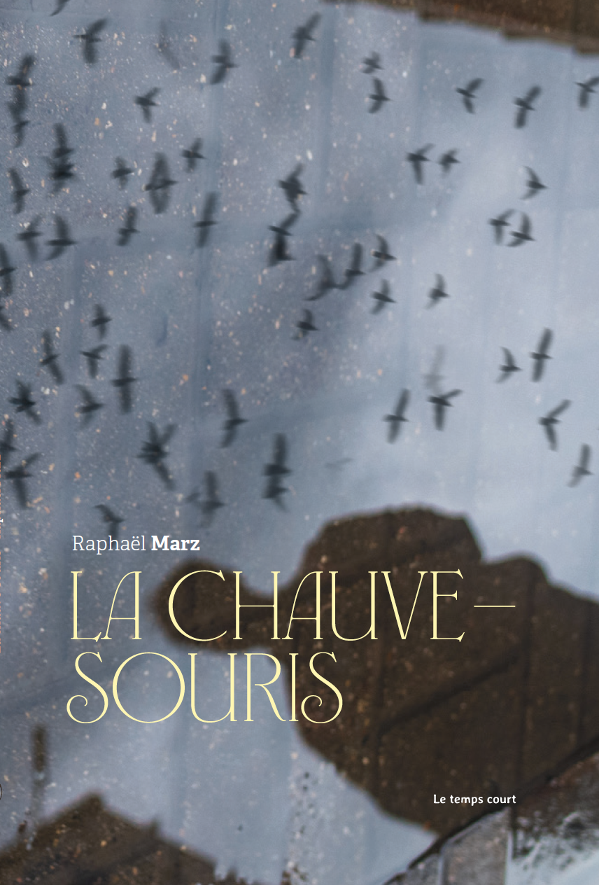 La chauve-souris, version papier