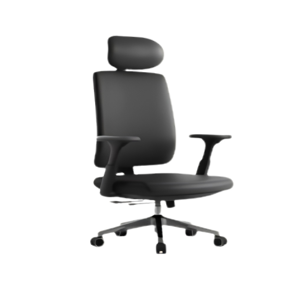 Frido Ergoluxe Studio Chair