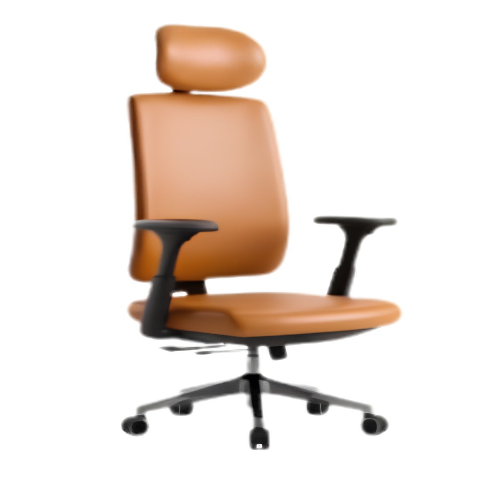 Frido Ergoluxe Studio Chair