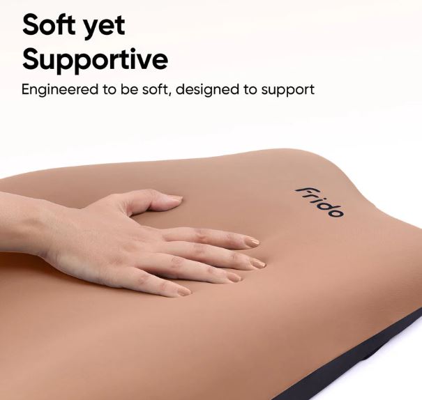 Frido Cloud Backrest Cushion