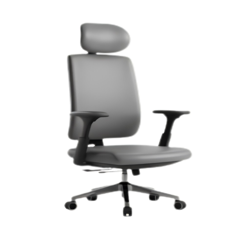 Frido Ergoluxe Studio Chair