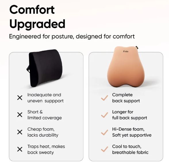 Frido Cloud Backrest Cushion
