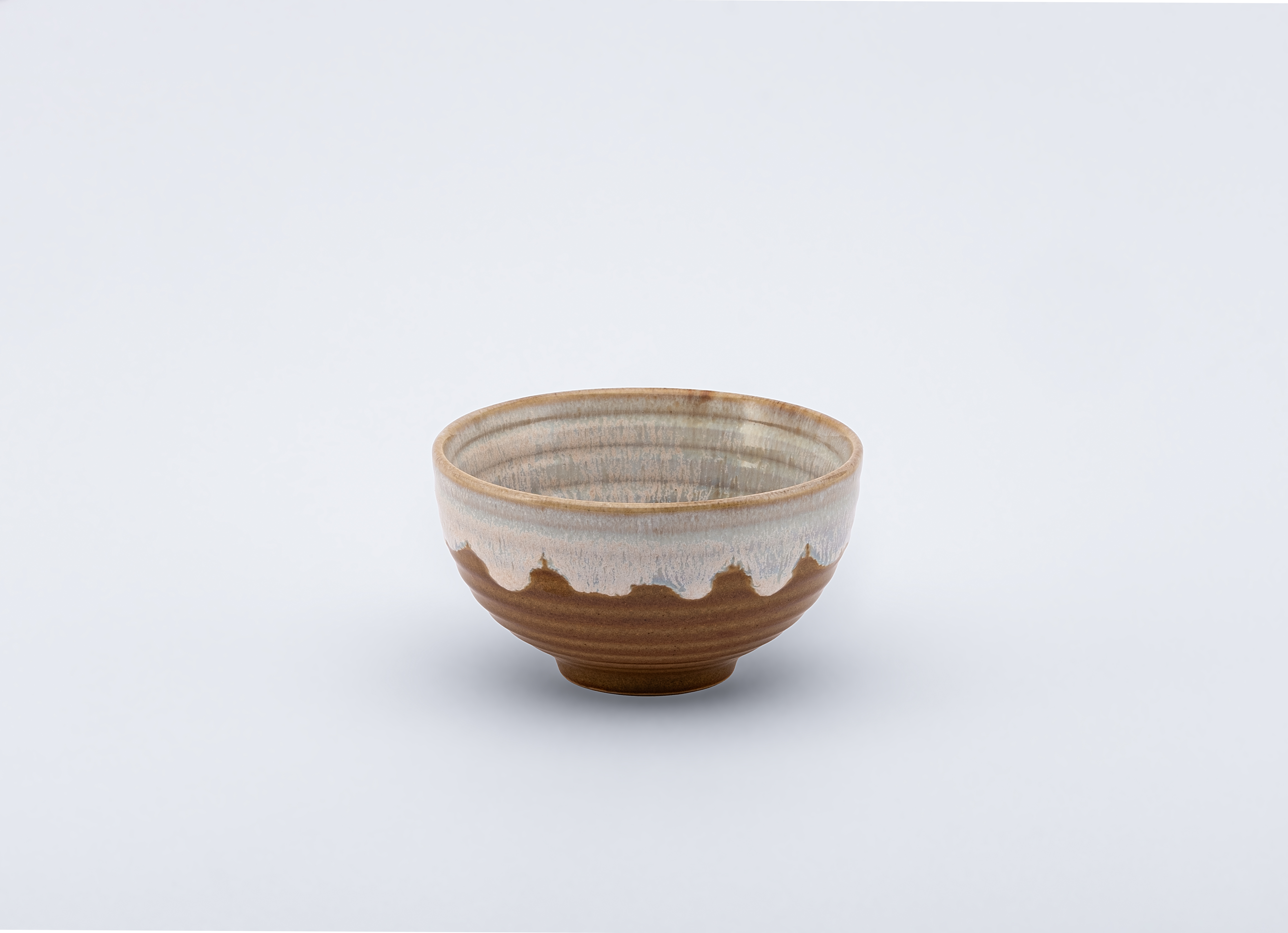 Rice Bowl
