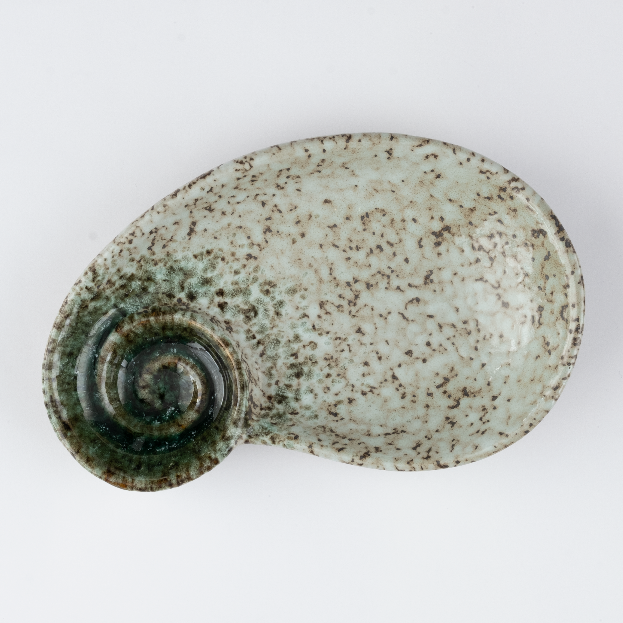 Spiral Shell Plate