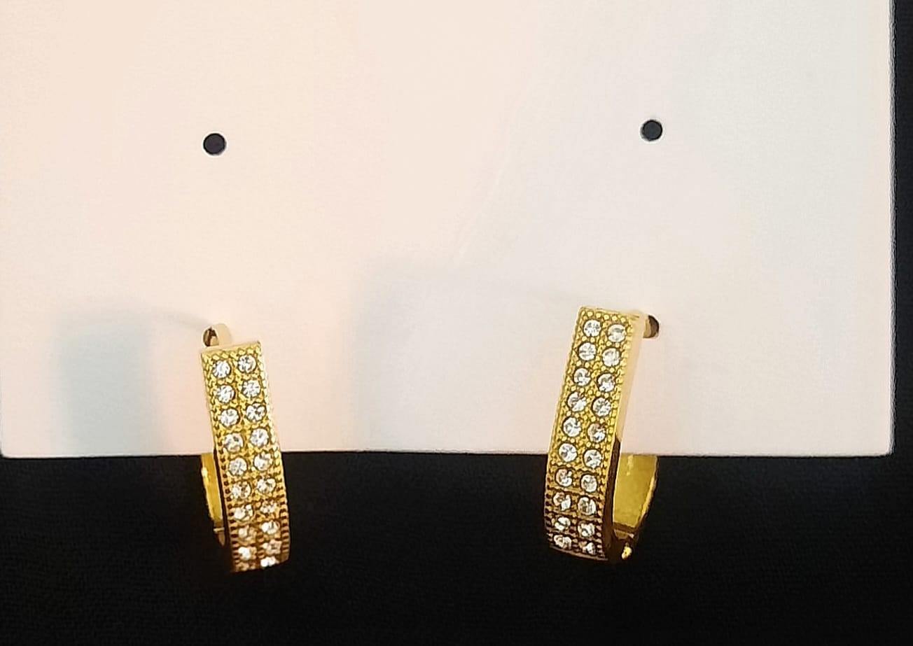 Stainless Steel Hoop Earrings ER-45