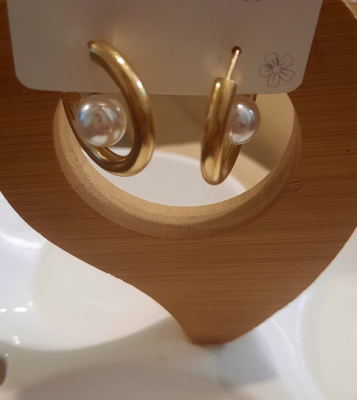 Stainless Steel Earrings ER-39