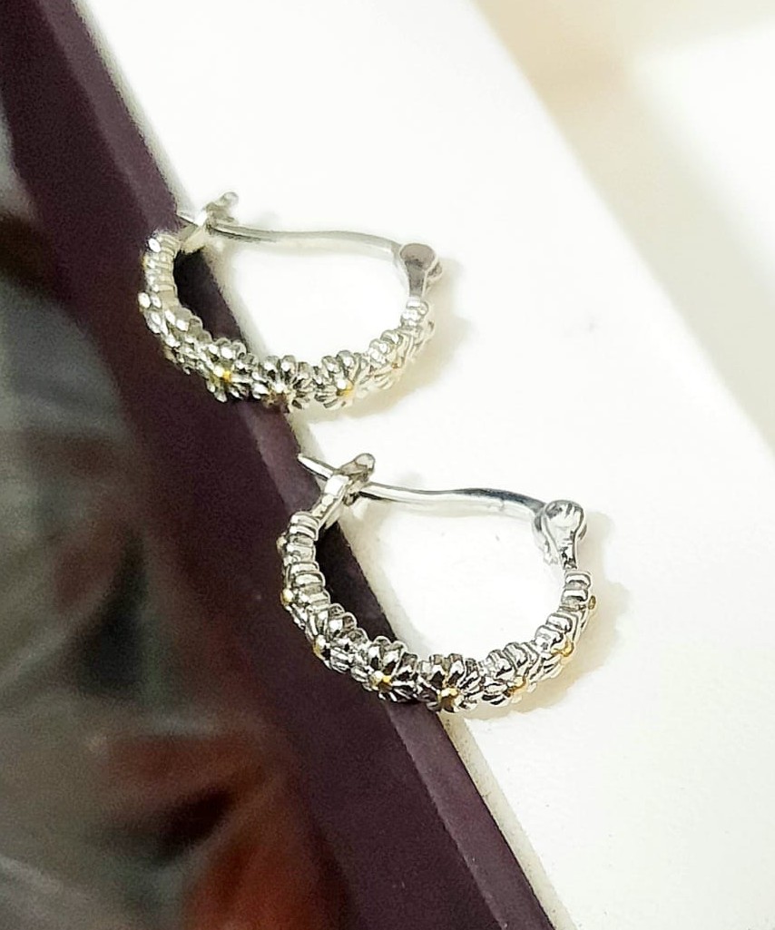 Silver Hoop Earrings ER-49