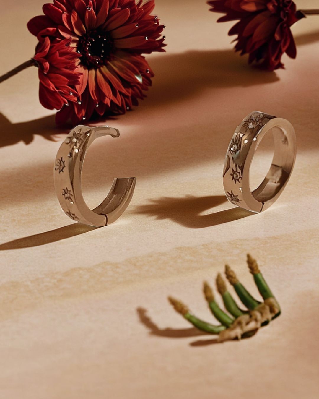 Stainless Steel Hoop Earrings ER-38