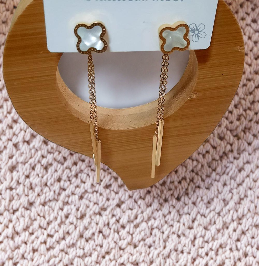 Stainless Steel Earrings ER-35