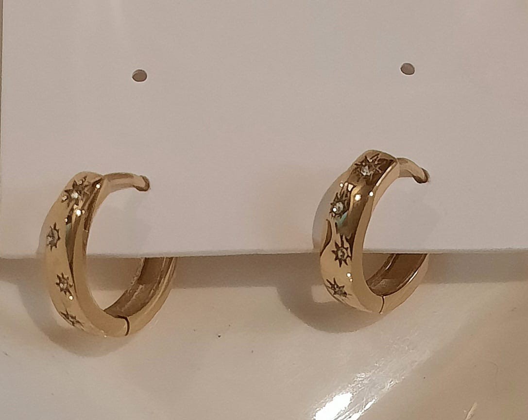 Stainless Steel Hoop Earrings ER-38