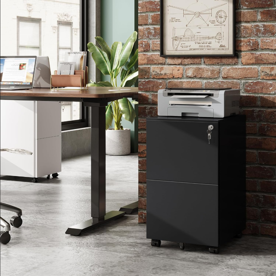 2-Drawer Mobile File Cabinet with Lock, Commercial Vertical Cabinet in Black