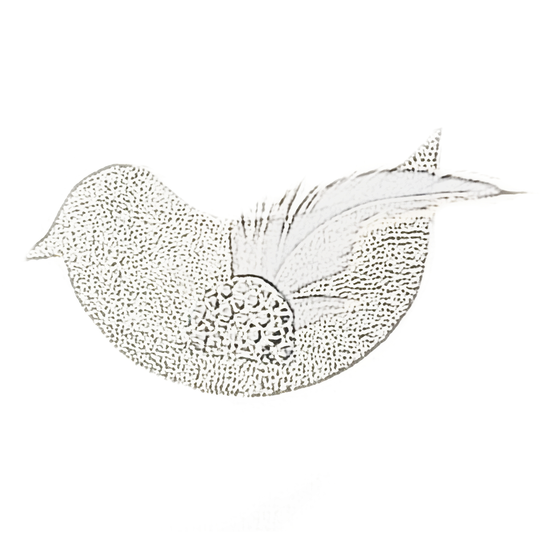 Broche barrette PiouPiou