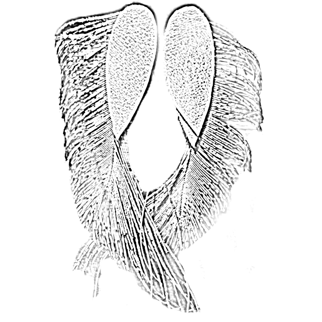 Boucles d'oreilles cuir et plumes