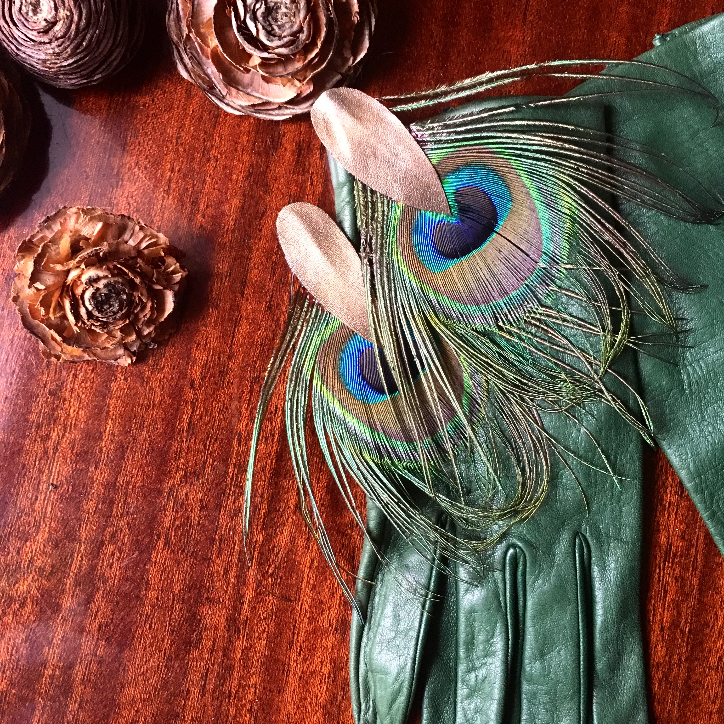 Boucles Birdilles paon