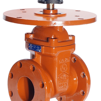 NONE RISING GATE VALVE, MODEL B111Q-16, PN16, 250PSİ